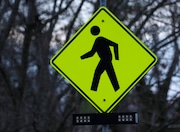 Pedestrian crosswalk sign.  Friday, January 20,  2023.










































